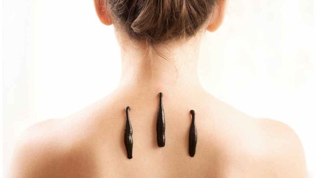 Hirudoterapie – Terapia cu Lipitori Medicinale
